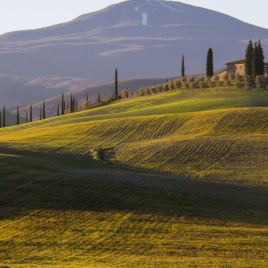 Betelt! Tavasz Toszkánában